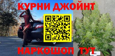 кокс Донской