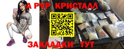 кокс Донской